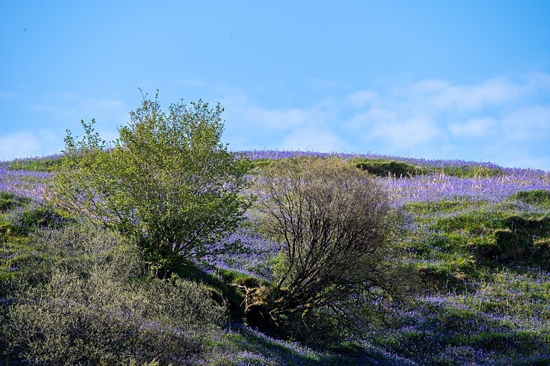MF2_3269 - Donegal Town & Lough Eske