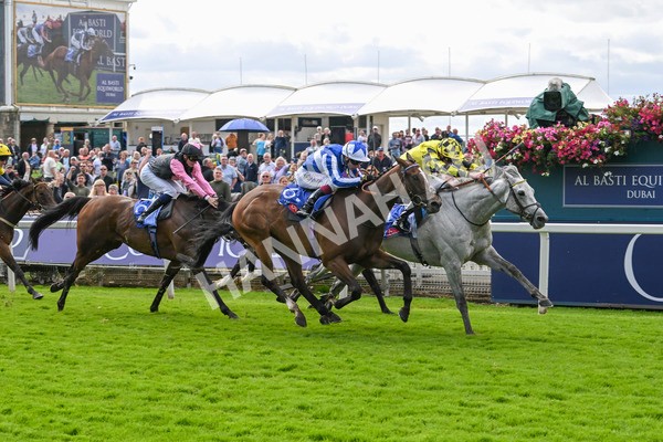 230824-Race 1-Shadow Dance-8723 - Race 1 1.50pm Sky Bet Handicap