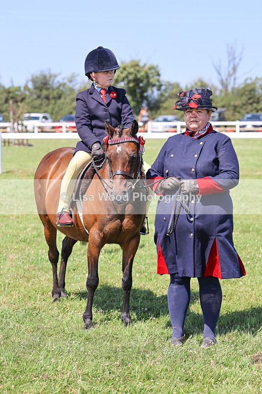IMG_2256 - Class 37: Pure, Anglo & Part Bred Ridden Arab