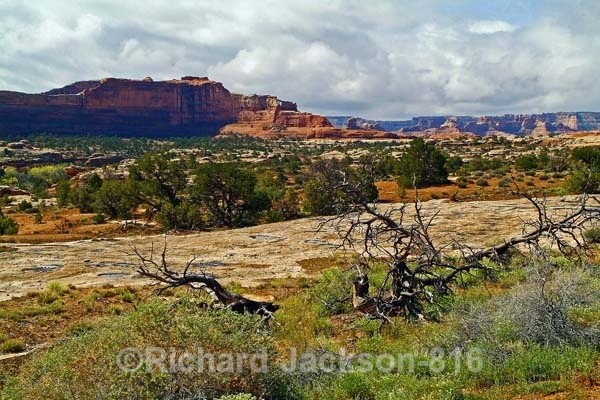 Photo #278 - Arches National Park