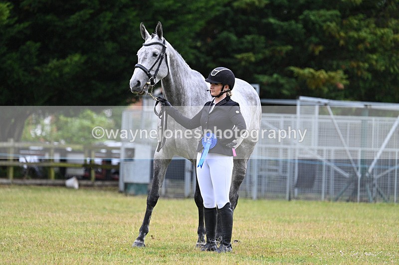 WJ7_6408 - Class 4a Prettiest Mare over 14hh