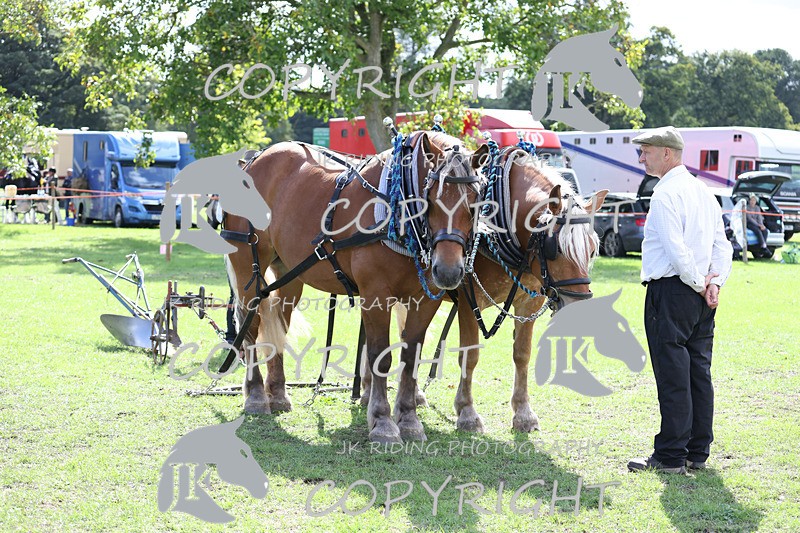 APP_3574 - Class 7 Turnout for a single or pair