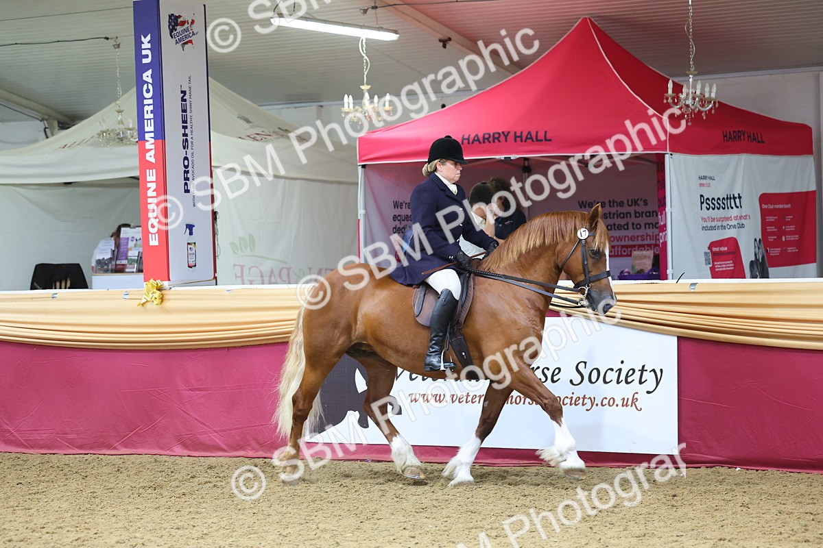 SBM_24489 - Class 906 - Supreme Final - Ridden Pre Vet