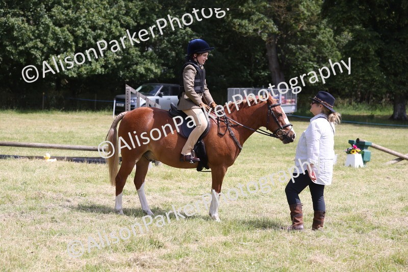 20260614-1937 - Class 21 - Novice Working Hunter Pony