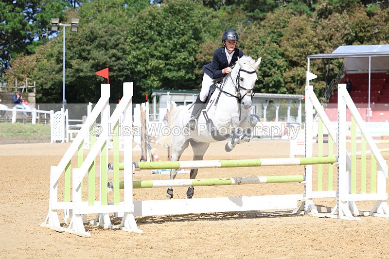 3E7A9181 - Class 9: Senior British Novice/90cm open