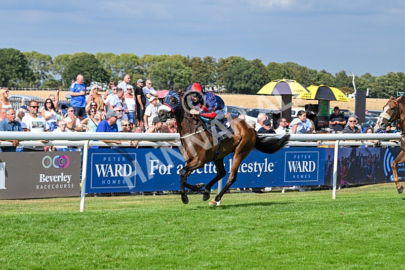 140825-Race 5-Chillhi-1529 - Race 5