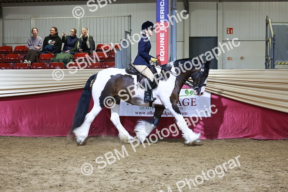 SBM_21364 - Class T - Working Veteran Champs