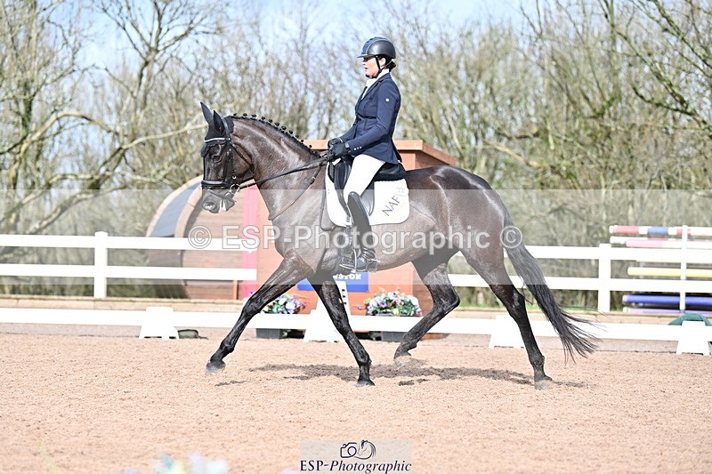 240218A-115819-06938 - 204-Elder.Klatzko-Dynasty.Hit