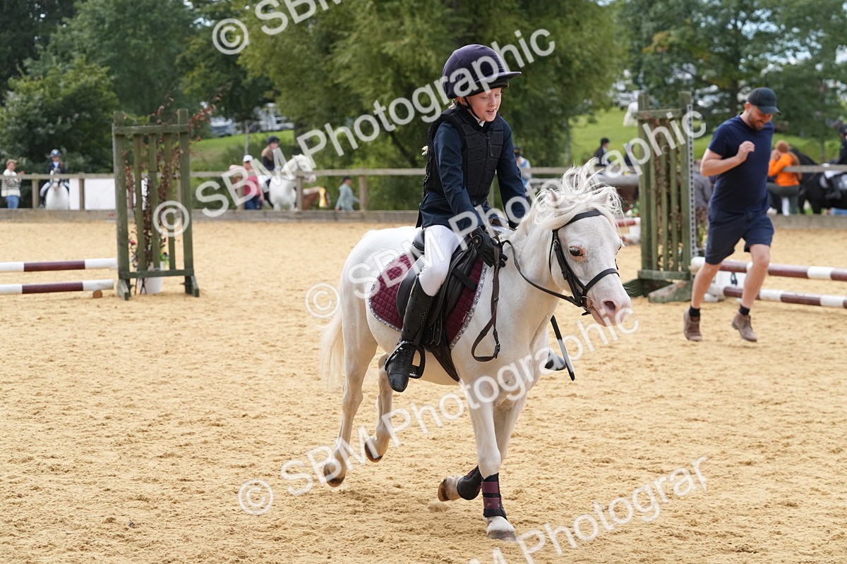 SBM_70614 - J3 - Mini Tour Junior Pony 40cm Championship