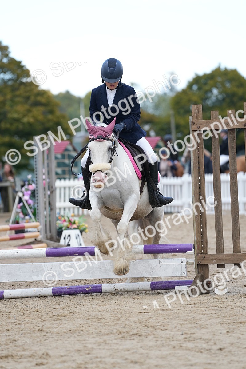 SBM_20672 - J49 - Open 50cm