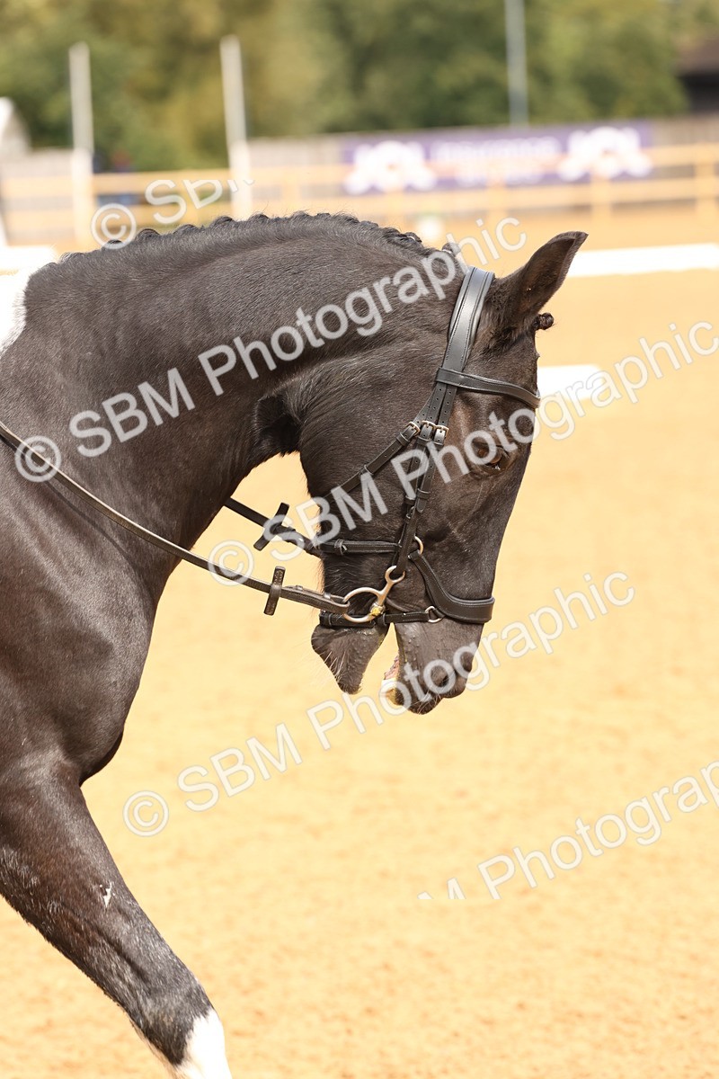 SBM_40675 - D6 - Small Tour Championship Intro 4