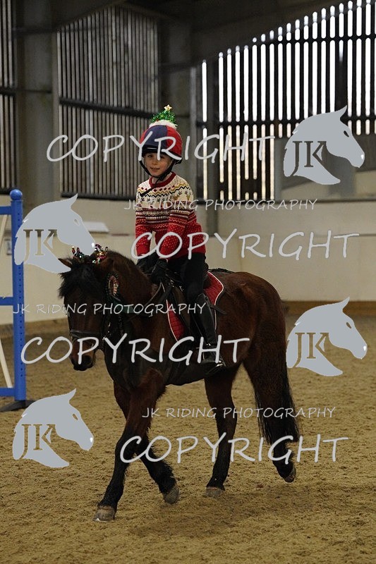 _DSC2641 - Mini Pairs