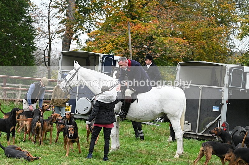 WJ7_7437 - The Meet