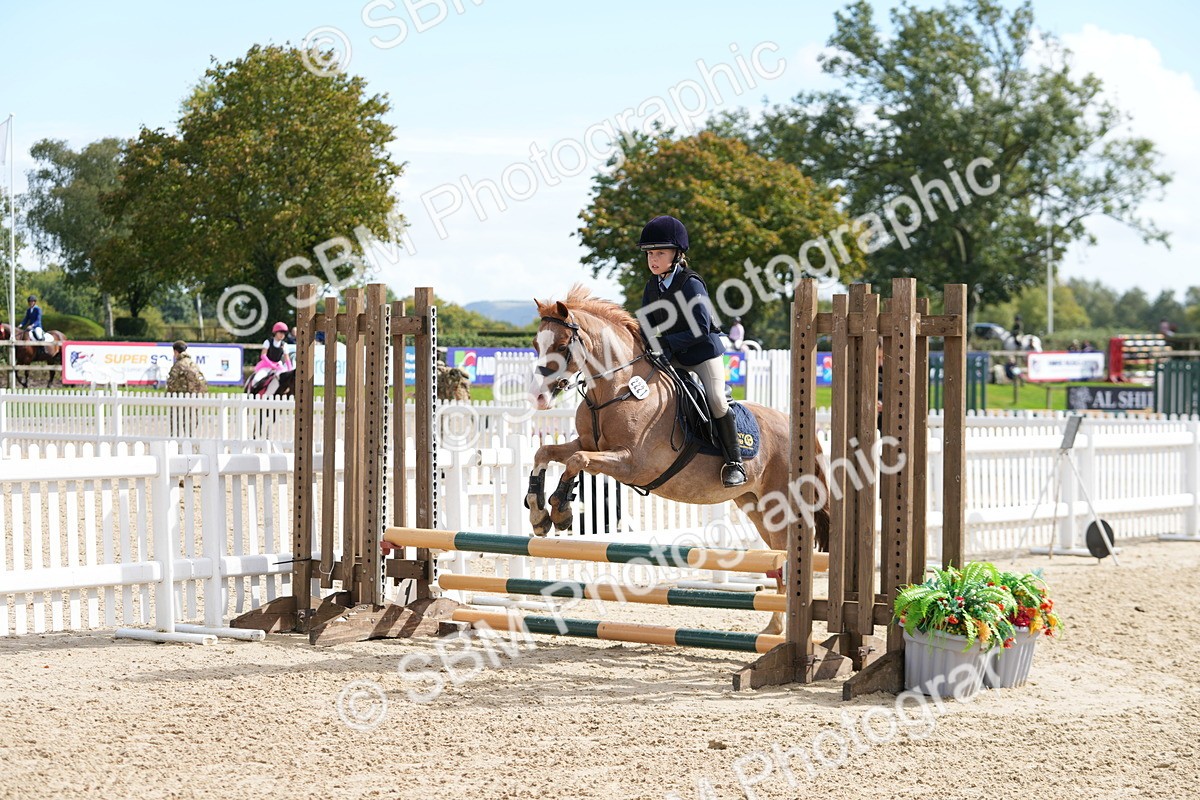 SBM_44335 - J7 - Junior Pony 60cm Championship