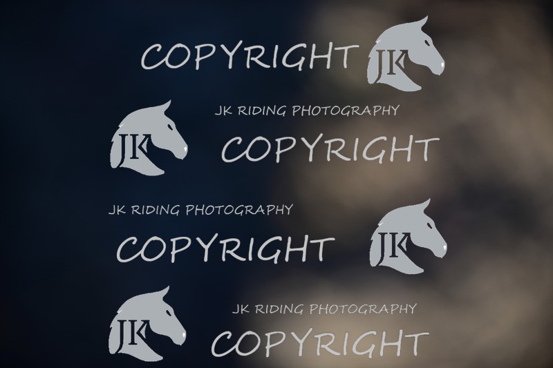 SBP_1114 - 10am - 11am