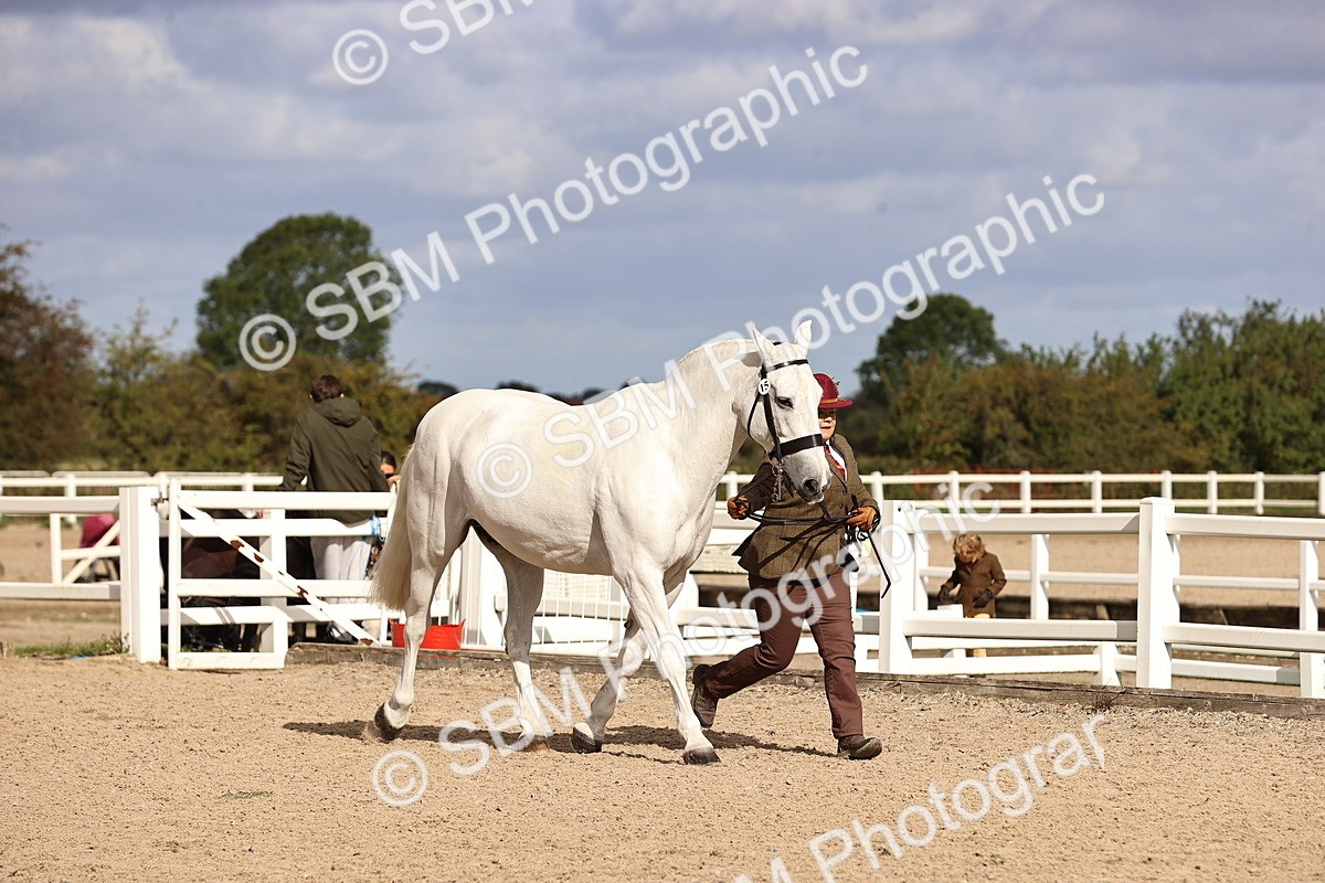SBM_10362 - Class 405 - IH Show Cob