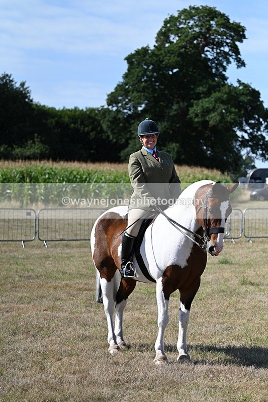 WJ7_3143 - Class 8 Ridden Tack & Turnout