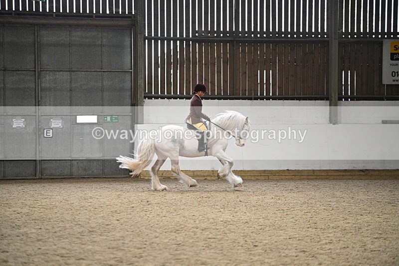 WJ7_3738 - Class 16 Ridden Coloured/ Odd Coloured