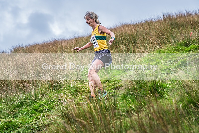 Steel Fell-663 - Steel Fell Race Wednesday 7th August 2024