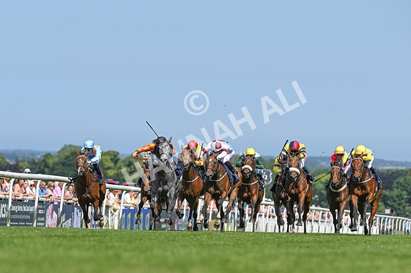 250624-Race 3-Island Native-9042 - Race 3