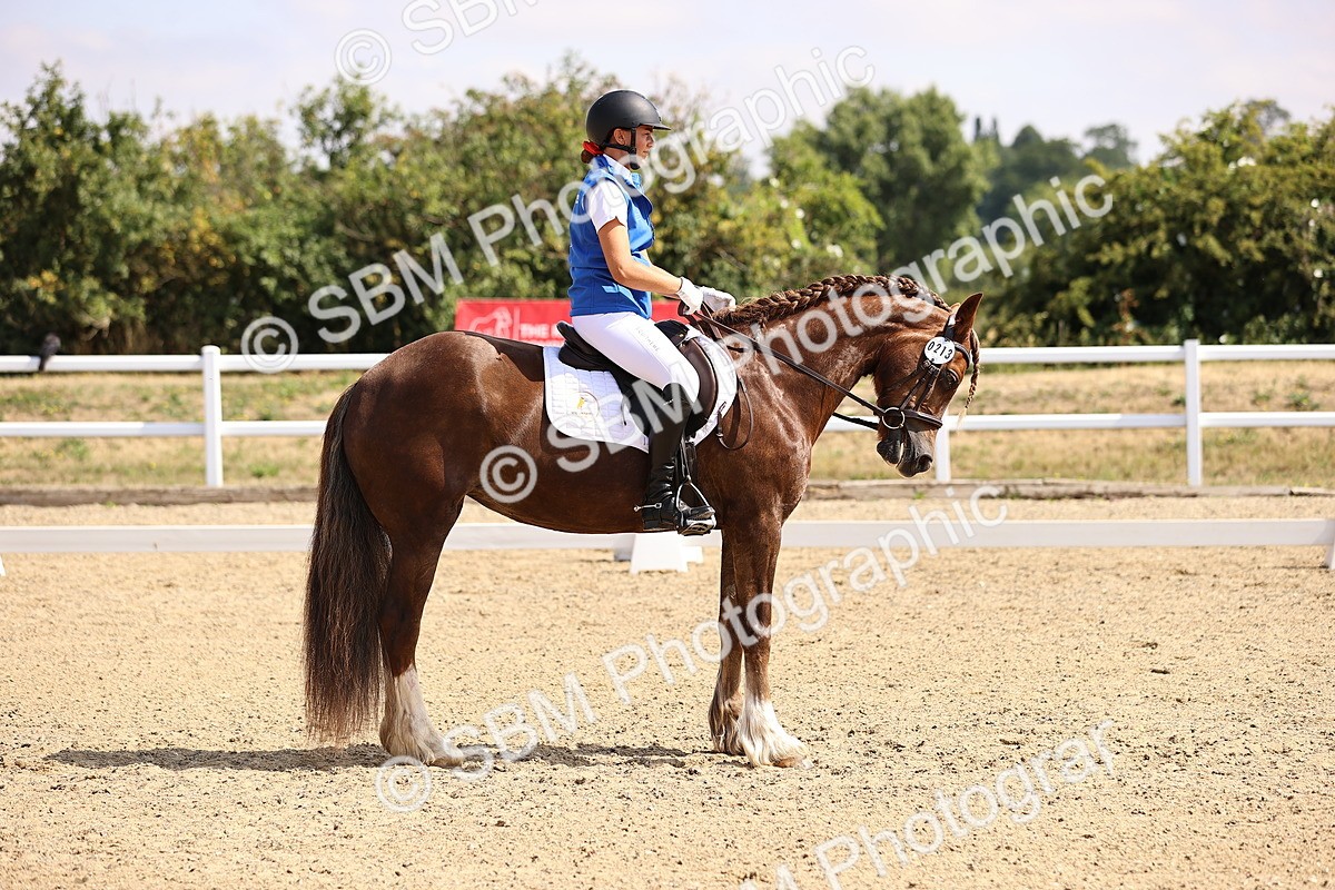 SBM_006546 - Intro 3 - 9.46-10.46