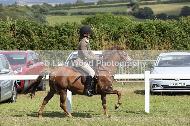 1X9A5698 - Class 40: NPS Welsh A & B