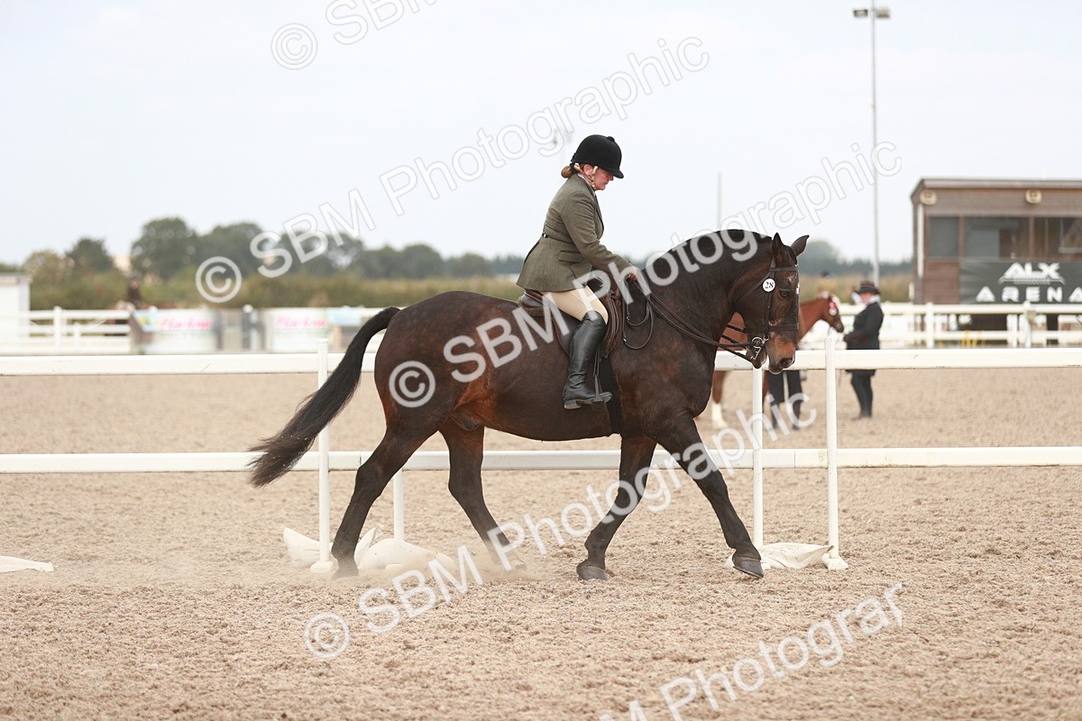 SBM_16633 - Class 214 Ridden Cob