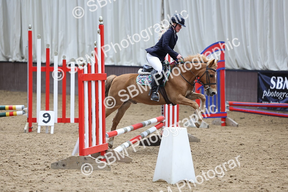 SBM_007292 - Class 2 - 50cm showjumping