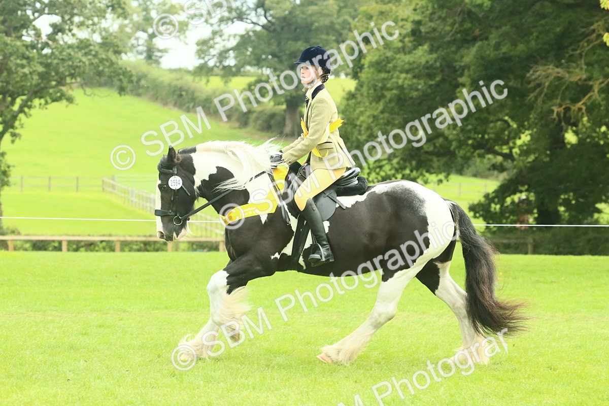 SBM_75044 - Ridden Pony Supreme Championship