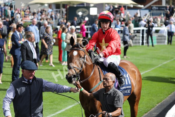 yr19082022r4-35 - Race 4 3.35pm Coolmore Wootton Bassett Nunthorpe Stakes (British Champion Series Race)