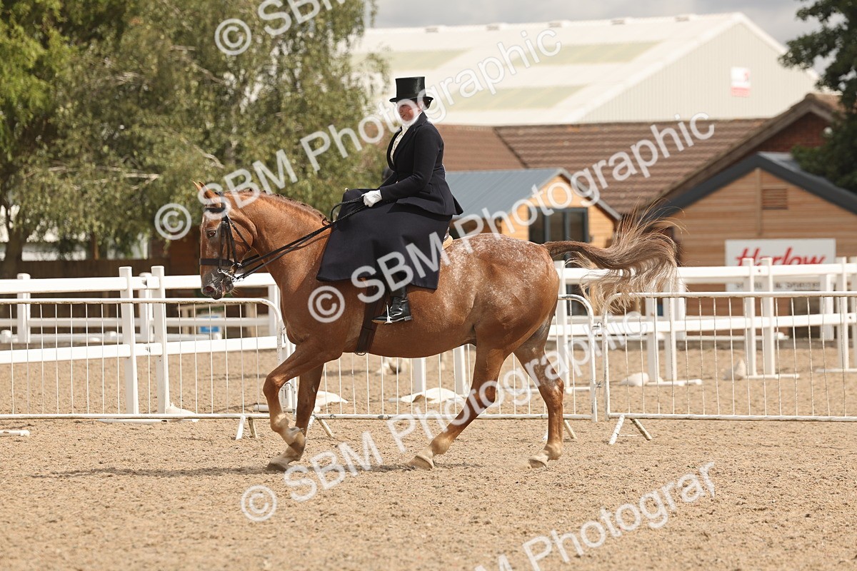 SBM_06362 - Class 22 - SSA - Equitation