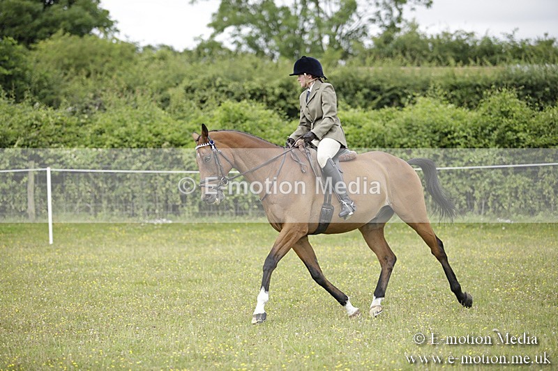 BVR160717-450 - Ring 1 BVRC Show 16/07/17