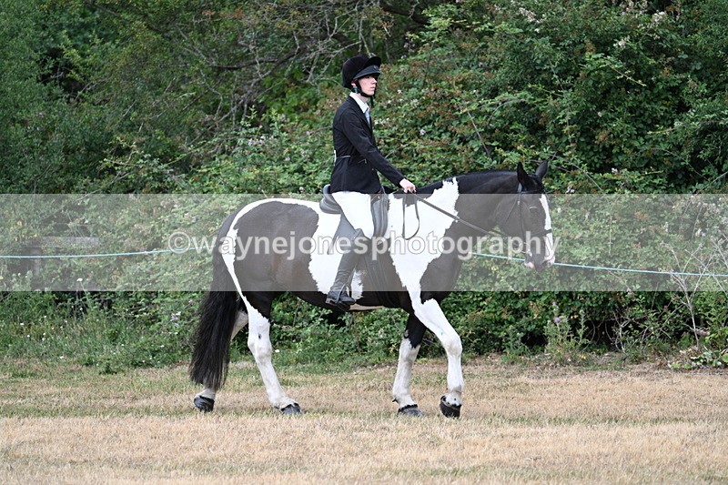 WJ7_0842 - Class 3 Family Mount