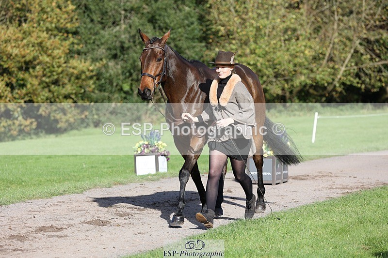 241027-103443-15976 - 554-Aimee.Bickley-LA.BASS