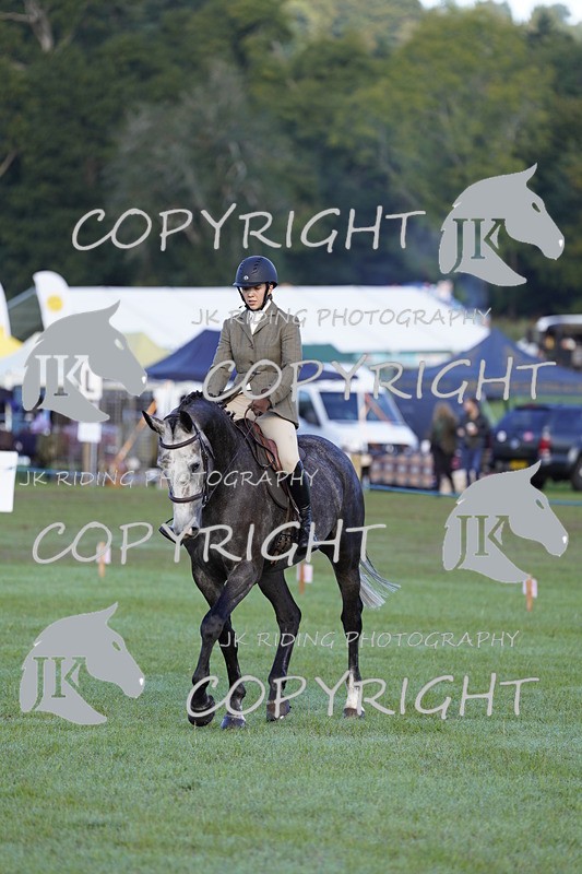 _DSC9400 - Class 8 & 17 Ridden Hunter & Ridden Hunter Pony