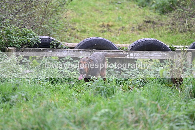 WJ7_8975 - Camera 1 only on this line