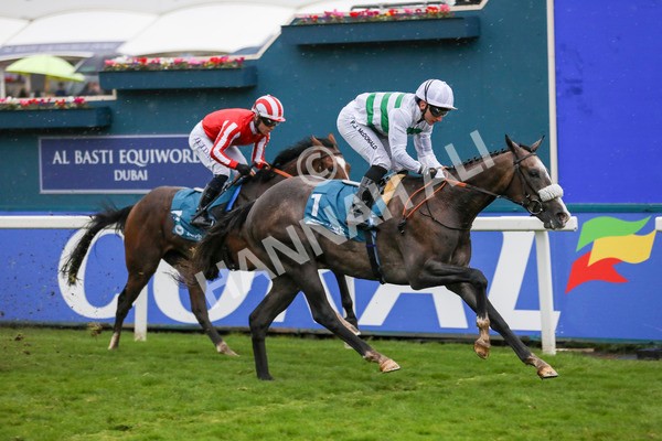 121024-Race 5-Almeric-7327 - Race 5 3.55pm Coral Racing Club EBF Maiden Stakes
