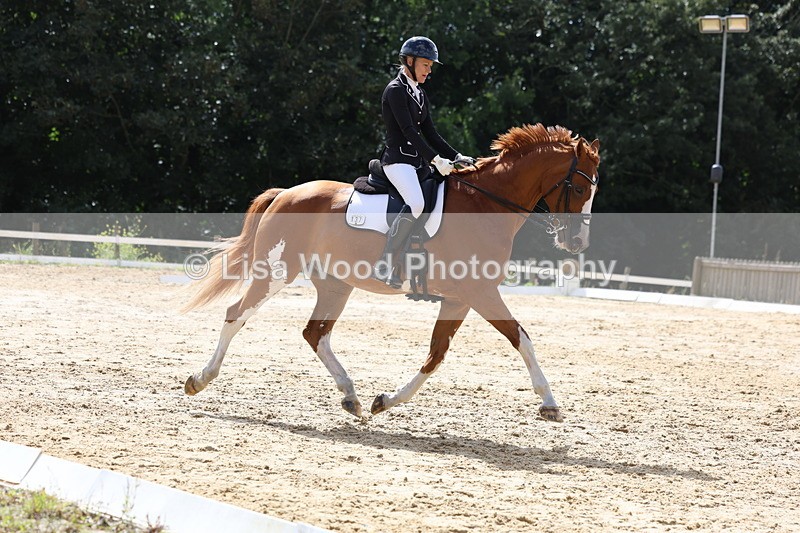 3E7A4757 - Class 11: Elementary Music