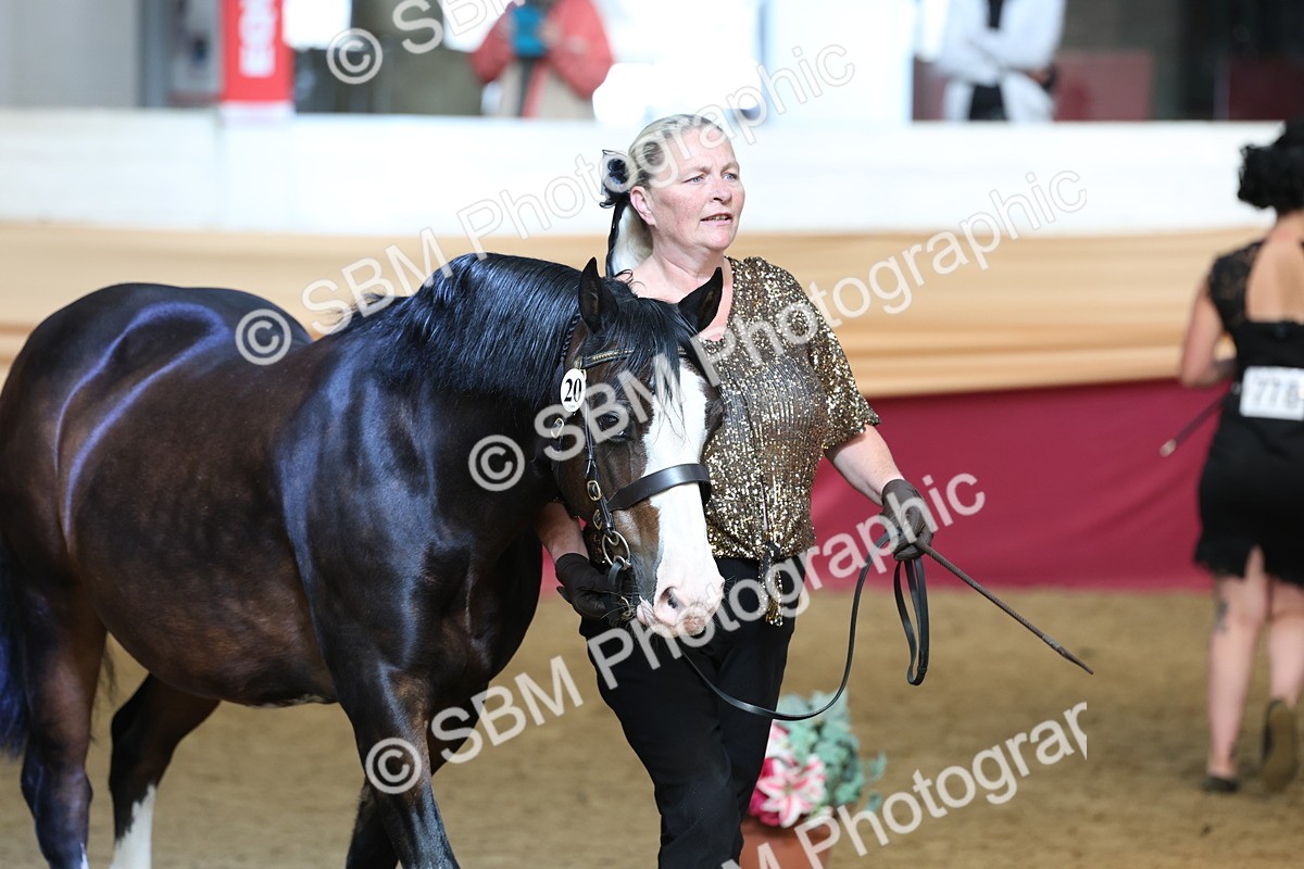 SBM_22547 - Class 902 - Supreme Final - IH Diamond