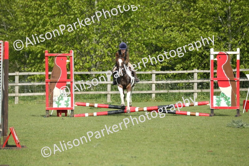 20260426-0058 - Class 13 - Rookie Jumping 50cm