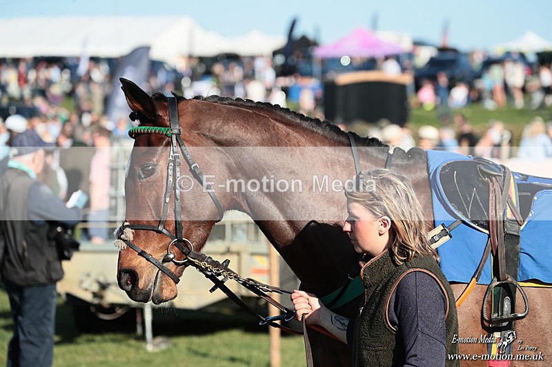 PtP 210326 923 - VWH Cirencester Races 21/03/26