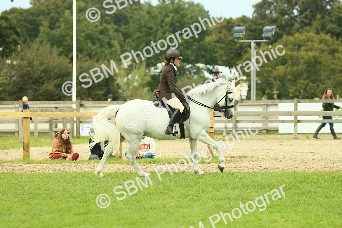 SBM_71975 - S60 - Mountain & Moorland Ridden Large Breeds
