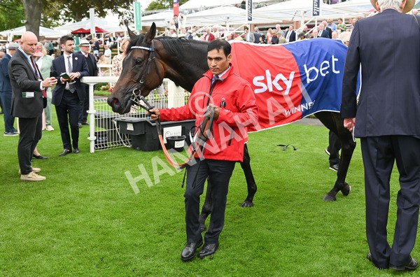 200825-242 Santorini Star - Race 5 4.10pm Sky Bet Stayers Handicap
