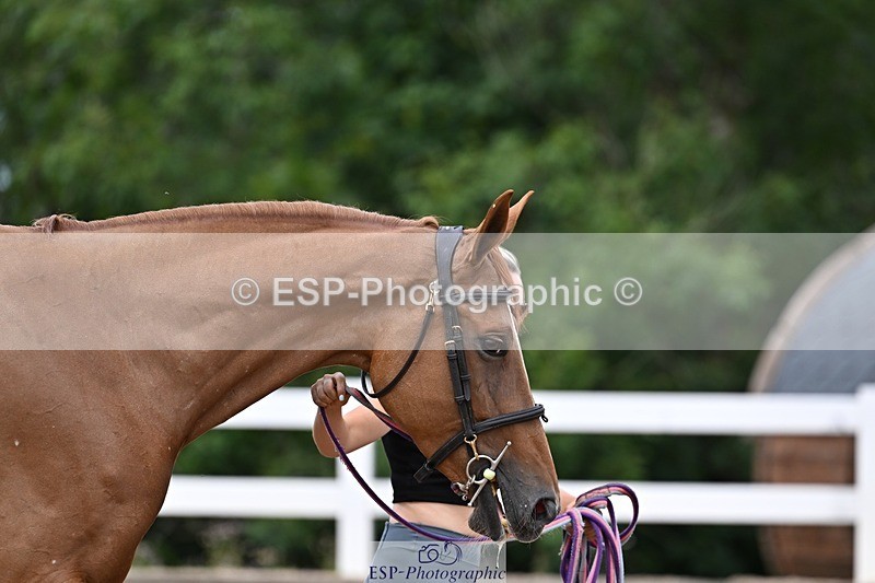 250716-133242-00562 - Trot Up 1.30 to 2.30