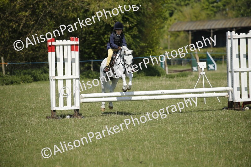20250427-1960 - Class 13 - Novice Jumping 60cm