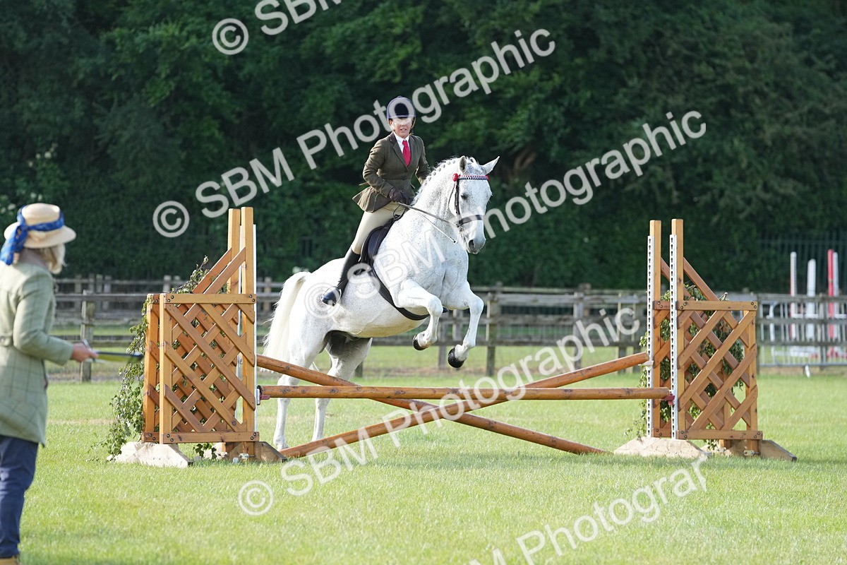 SBM_10483 - Class 97-98 - LIHS BSHA Rising Star Working Show Horse Hunter