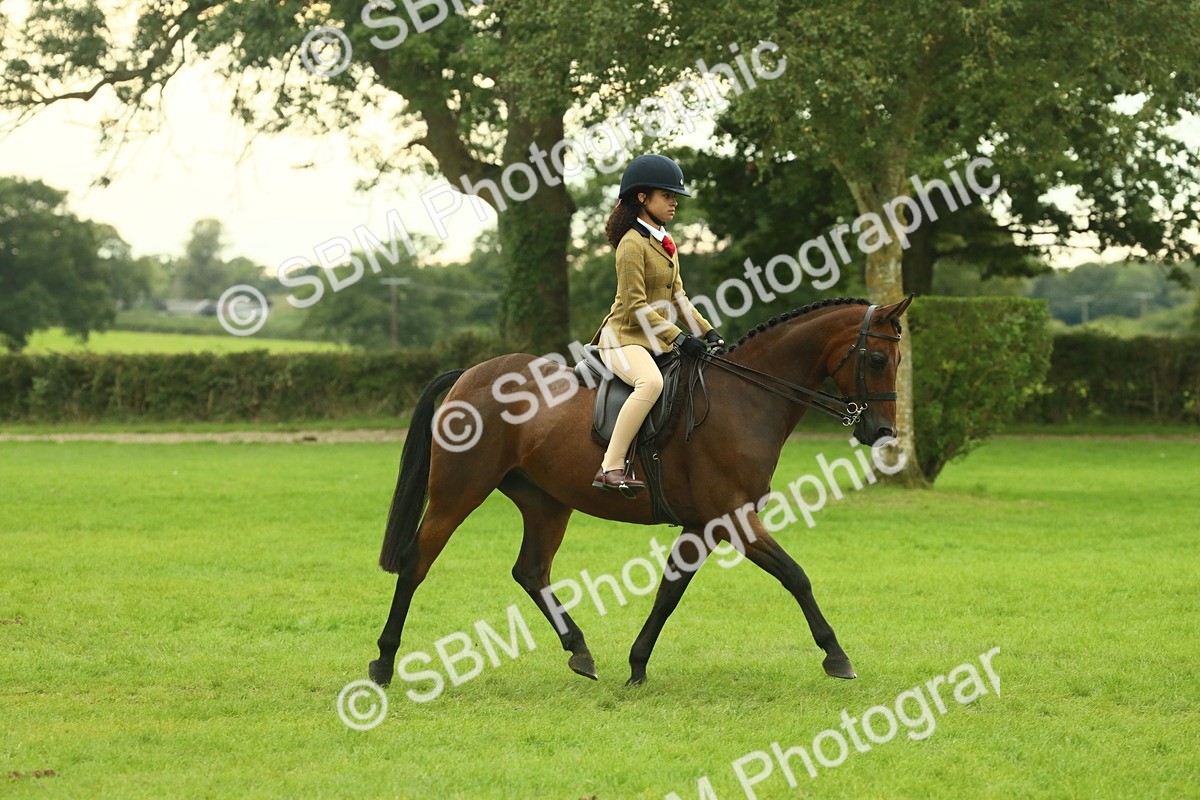 SBM_73925 - S 61 - Show Pony & Show Hunter Pony Ridden