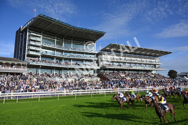 yr08102021r5-16 - Race 5 4.20pm Copper Knight - Winning Most Horse At York Handicap