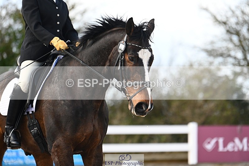 240323A-133148-03125 - UnA Medium 71