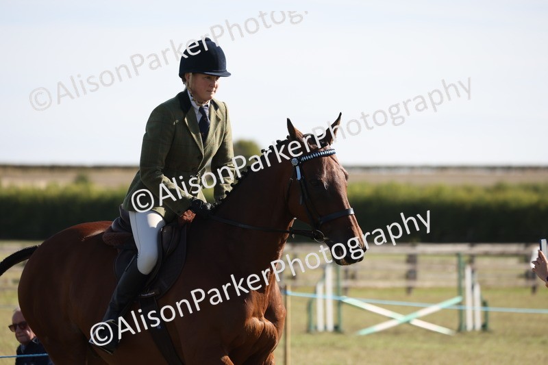 20260906-0367 - Class 14 - Ex Racehorse